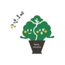 안녕샐러드 네이버블로그