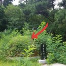 신유 묘역 이미지