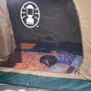 더캠프렌탈캠핑 이미지