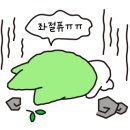 나나헤어아트
