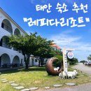 레피다리조트 | "태안" 숙소추천 [레피다 리조트] 솔직 후기🏖️ 수영장, 바베큐, 오션뷰까지 완벽!