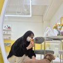 까까멍멍 | 대전 강아지수제간식, 홀리몰리 기호성 최고봉
