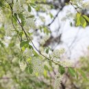 상념의 정원 이미지