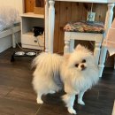 하늘N펜션 이미지