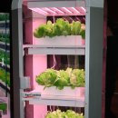 미래농장2 이미지