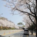 김진우공인중개사 이미지