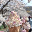 아이스크림조아 네이버블로그