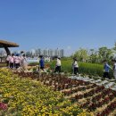 인천광역시 농업기술센터 이미지