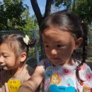 달산유치원 이미지