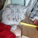 컴포즈커피 소사본점 이미지