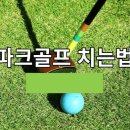 파크골프 고수되기 - 권오봉, 대경파크골프아카데미 원장 이미지