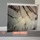 셀비오 두피탈모&건강 | 대구두피케어 셀비오 대구중동점 순정디자이너 두피관리 후기｜탈모 고민이라면 꼭 받아보세요