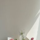 마음을담다결혼정보 | 구미꽃집 마음을담다, 결혼기념일 선물 꽃다발 후기