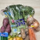 패밀리 마트야채 이미지