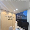 디자인율 이미지