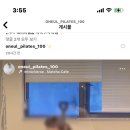 오늘필라테스백운점 이미지