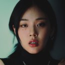 비비카운터 네이버블로그