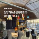경남 일본감성숙소 추천 밀양 해브솔 글램핑 최고의 가족여행지