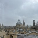 개미녀's 이미지