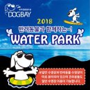 안단테펫