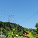 영구네농장 이미지