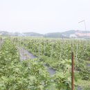 대불농장 이미지