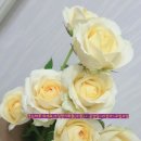 아침향기화원 이미지