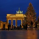 크리스마스 트리 이미지