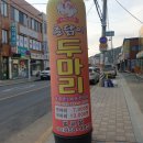 촌닭이 두마리(벌교) 이미지