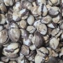 벌교택배 이미지