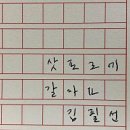 청유당 | 삿포로 여행 후기 - 청유투어와 함께한 겨울이야기 1탄