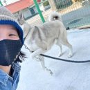 와이낫양양 이미지