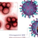 동안약국 이미지