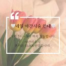 경주 충효동 네일샵 원톤 시럽 네일 투엔티투네일 내돈내산