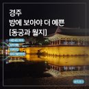 도전 어린이 한자 급수반 | 경주여행 필수코스 동궁과 월지