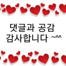 (유)다카포기술연구원
