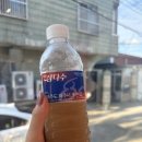 붐붐인터넷 | 한소루 붐붐 내돈내산후기 레드와 블루 맛비교 추천까지