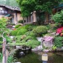 제추골 황토펜션 이미지