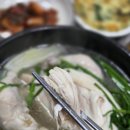 명품 오리 | [성남 보양식 맛집] 명품파주 – 진한 국물 오리백숙 재방문 후기 (+몸보신)