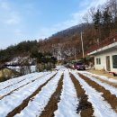 로키공인중개사사무소 이미지