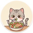 [남부] 올데이브런치 B | 다이어터부터 직장인까지 만족한 낙성대 브런치, 포케올데이 방문기