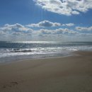 E & S 행정사 사무소 이미지