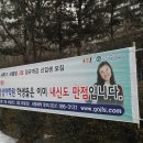 평촌정상어학원 이미지