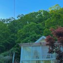 세르니띠 이미지