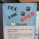 한잔할래포차