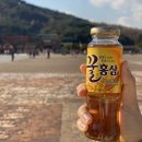 [ 경기; 수원역 행궁 ] 화성행궁, 아트카페잉크, 헌터양궁카페, 크라운호프 후기 (feat. 내돈내산)