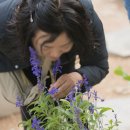 숲이랑농원 이미지