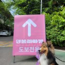 티에이치엠 이미지