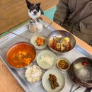 강릉애견하우스 | 강릉 애견동반 식당 주문진 맛집 옛날삼교리막국수 대형견 OK