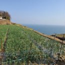 하동농협적량지점 이미지